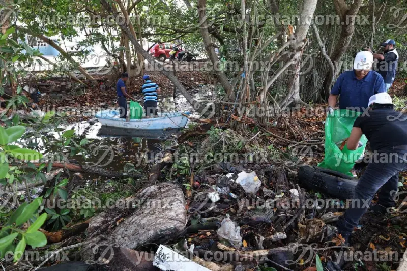 Ayuntamiento de Progreso refuerza limpieza de canales y manglares; pide no tirar basura