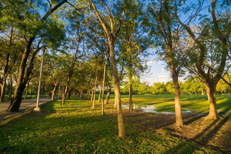 Querétaro sumará una nueva área verde en cada sesión de Cabildo