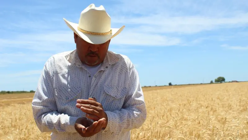 La agricultura regenerativa avanza como apuesta para proteger el futuro de la alimentación