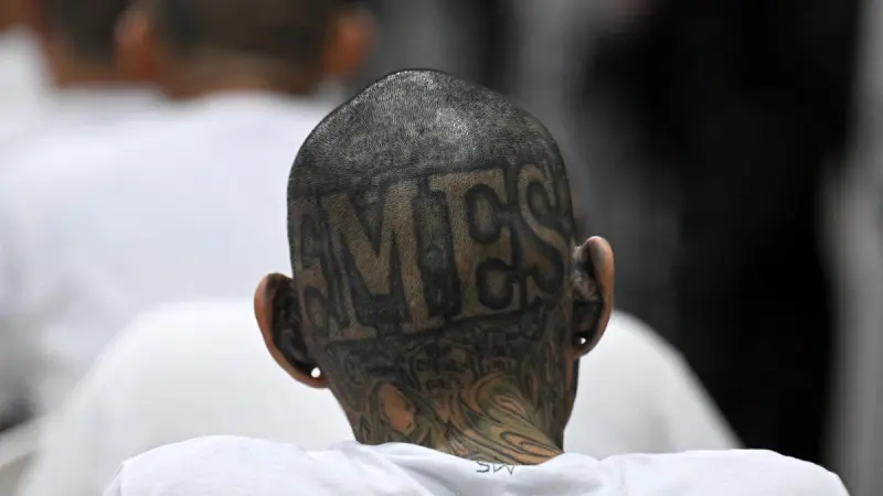 Juicio masivo a jefes de pandilla MS-13 finaliza en El Salvador: Fiscalía pide miles de años de cárcel
