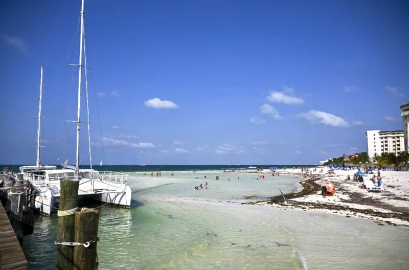 Playas MX, la app que te dice dónde puedes nadar estas vacaciones de verano