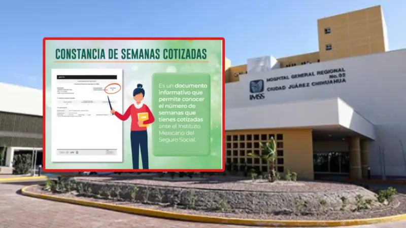 Constancia de semanas cotizadas en el IMSS: Cómo puedes solicitarla y cuáles son los documentos que necesitas presentar en ventanilla o en línea