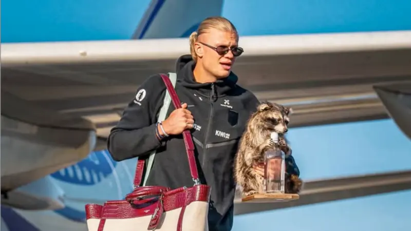 ¿Dónde compró Haaland el famoso mapache con el que regresó a Noruega tras el Mundial?