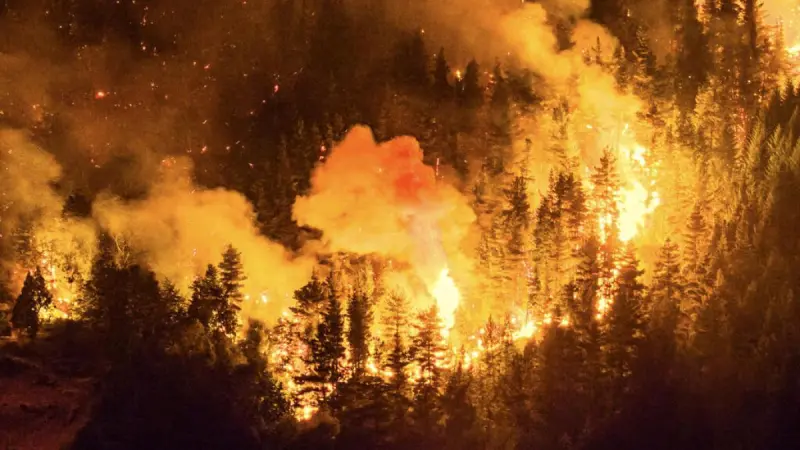 Caída de helicóptero en Argentina: Siete personas murieron cuando se dirigían a combatir un incendio