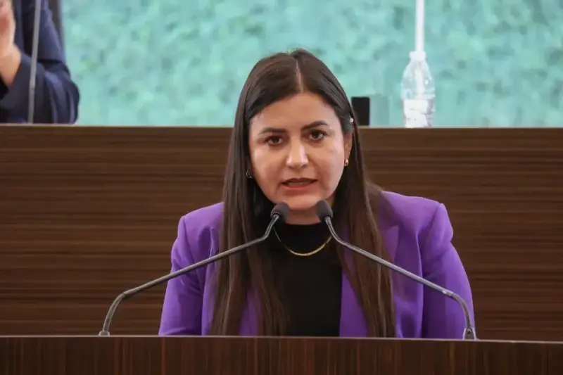Congreso de Querétaro aprueba Código Mariposa para duelo perinatal