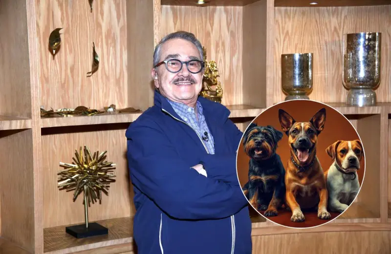 Pedro Sola desata polémica tras decir que le dan ganas de “aventar carne envenenada” a perros que ingresan a supermercados y restaurantes junto a sus dueños