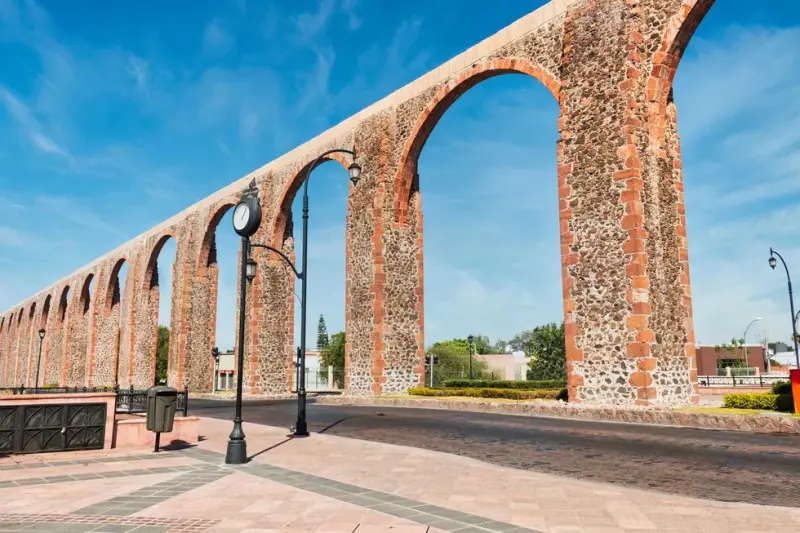 Confirman dos nuevos casos de gusano barrenador en humanos en Querétaro