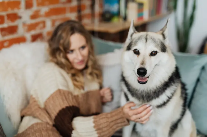 Estas son las 7 razas de perros que destacan por su instinto de protección y pueden ayudar a cuidar un hogar