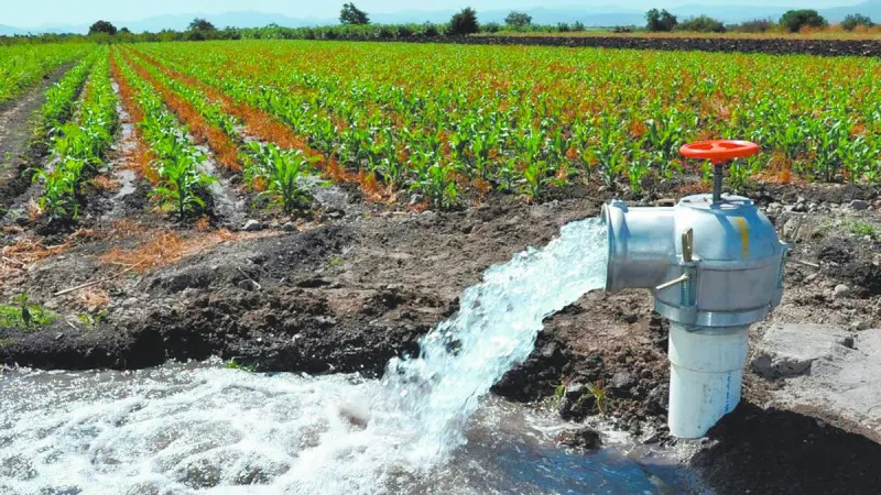Sin estar reguladas, hasta 100,000 concesiones de agua