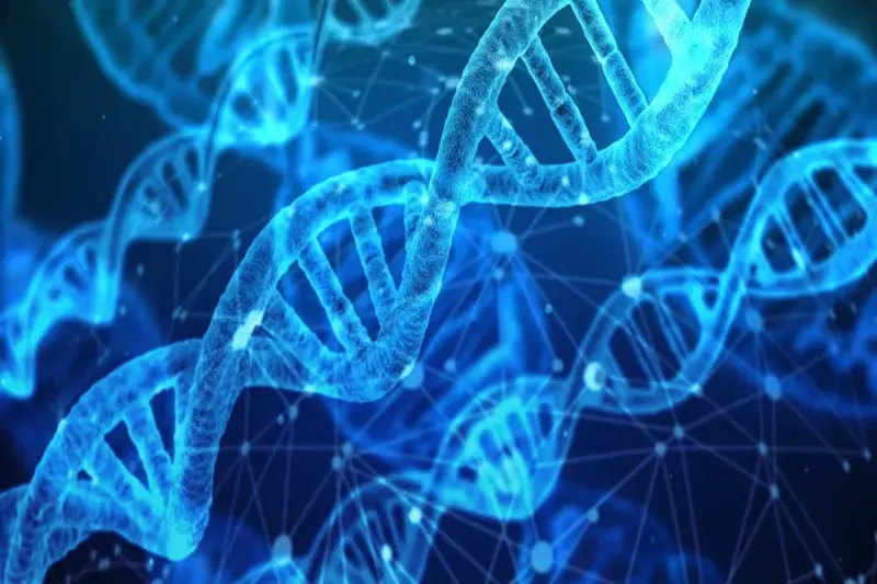 Científicos crearon una “nueva forma de vida” y es técnicamente perfecta