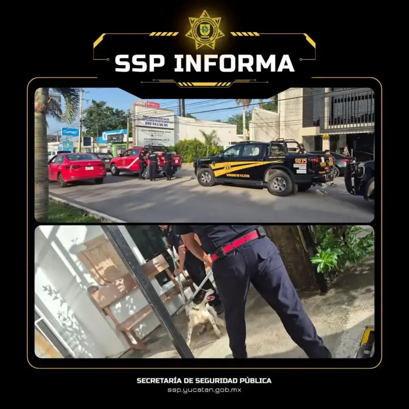 SSP Yucatán busca a propietario de un perro que mordió a varias personas en la colonia Maya y Av. República de Corea