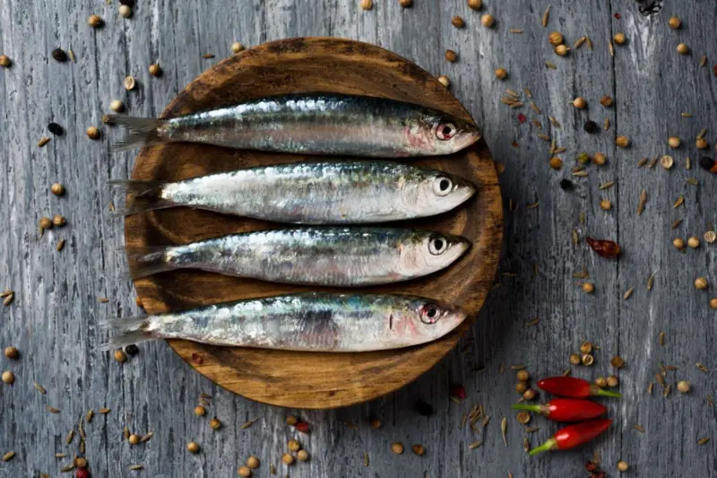 Pequeñas pero poderosas: las sardinas y su triple alianza contra el envejecimiento
