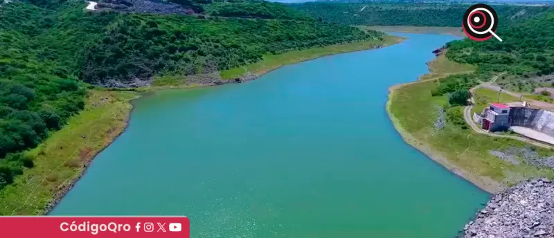Investigarán causa de peces sin vida en presa El Batán