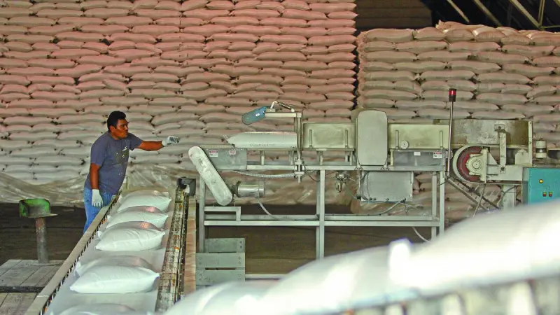 Necesidades de azúcar de EU garantizan a México un cupo de 500,000 toneladas