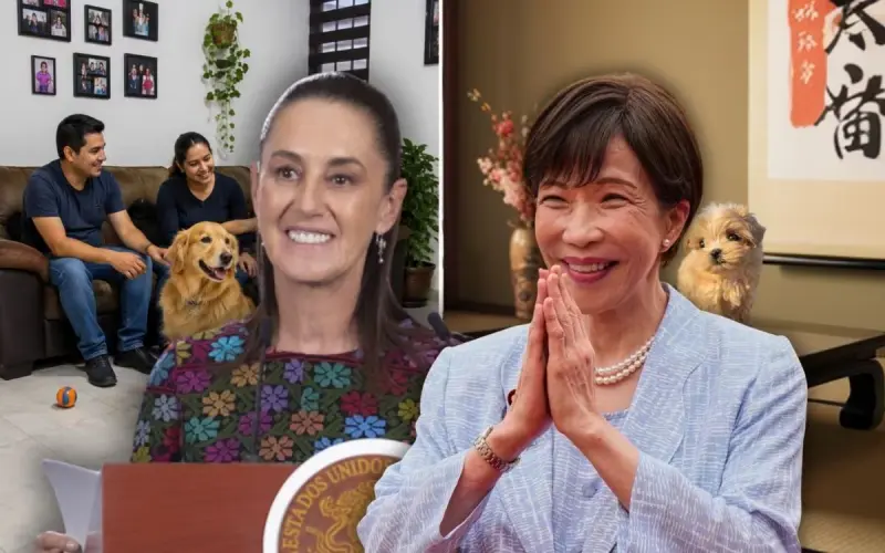 Mientras en México es normal que mascotas de todo tipo vivan dentro de la casa, en Japón las mascotas están muy limitadas en espacio y tamaño