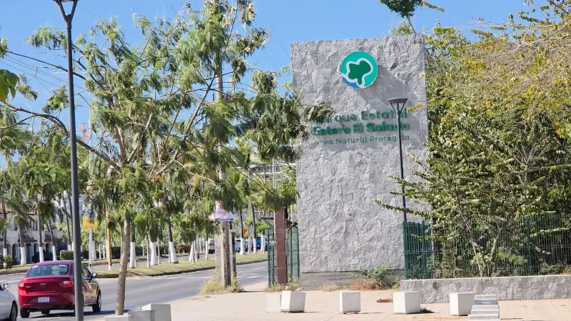Celebrará estero El Salado 26 años con liberación de crías de iguana