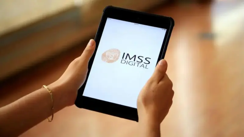 ¿Cómo saber si estás dado de alta en el IMSS? Consulta tu Constancia de Vigencia de Derechos