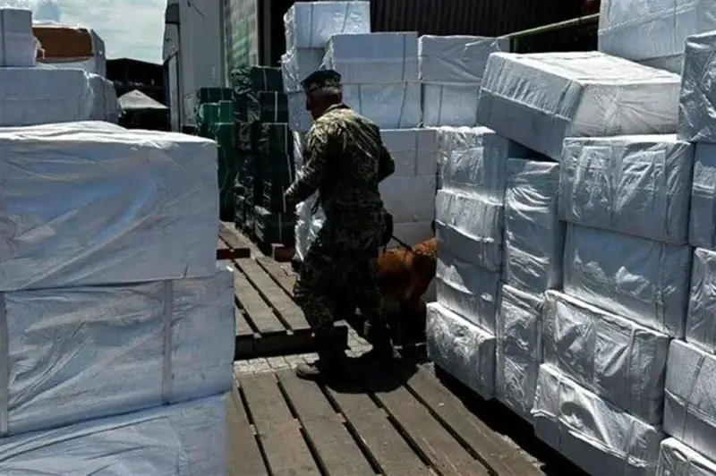 Decomisan 8.4 millones de cigarros apócrifos en Manzanillo