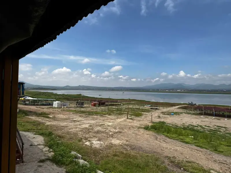 Pescadores de La Estancia gestionan limpieza del lirio en la presa de San Juan del Río