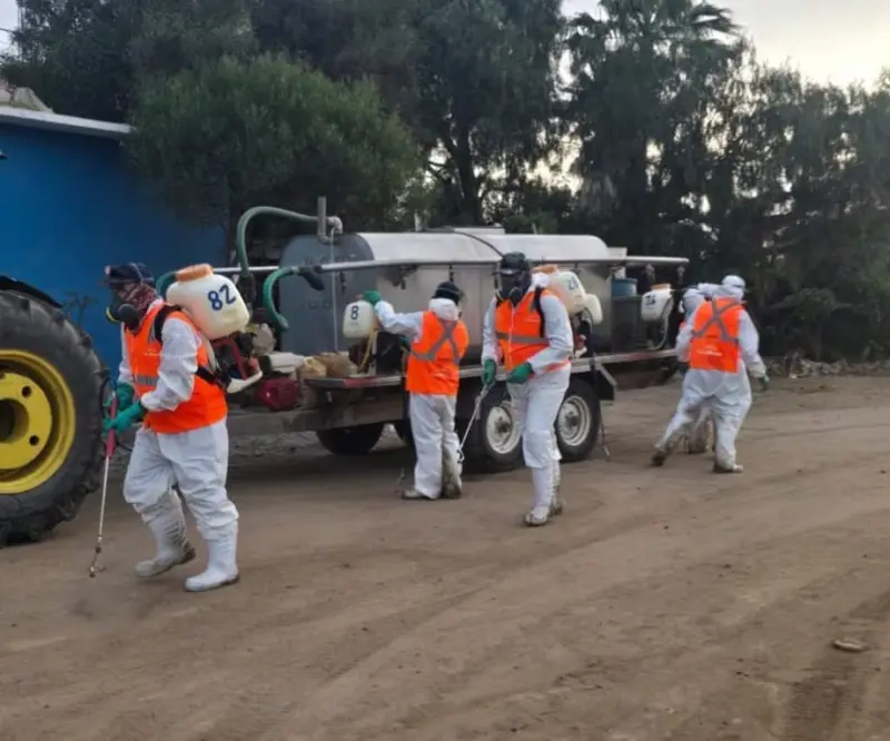 Fumigan 520 viviendas en San Quintín tras alerta por rickettsiosis