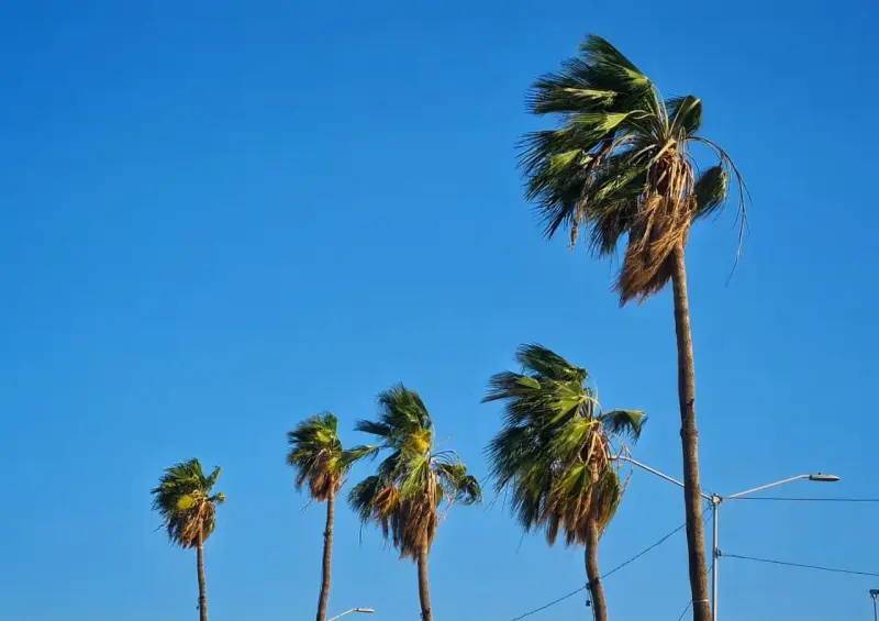 Persistirá el calor extremo esta semana en SLRC; prevén máximas de hasta 43° C