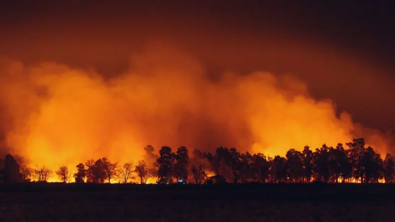 El humo de los incendios forestales también afecta a quienes aún no han nacido