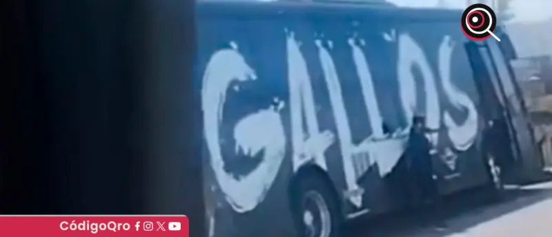 Autobús de Gallos Blancos Femenil, involucrado en accidente vial