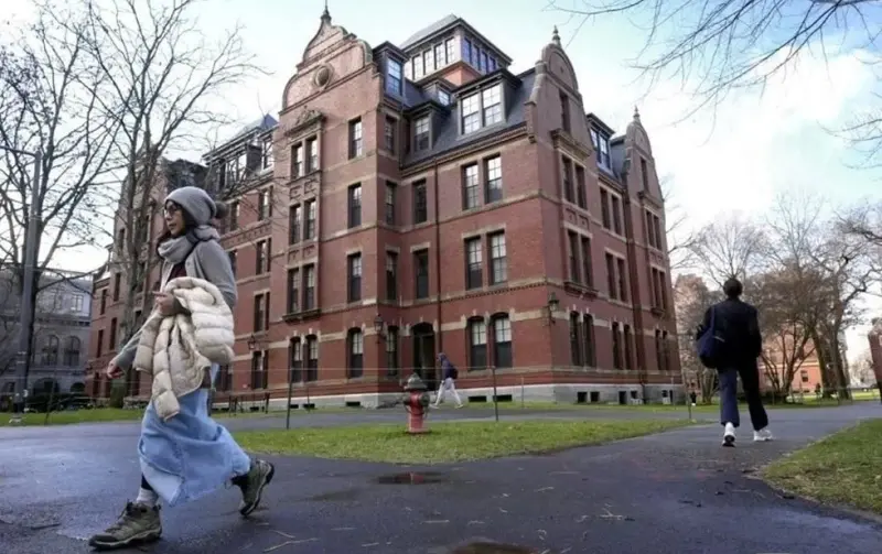 Se integra a consejo de Harvard maestra de EPCC