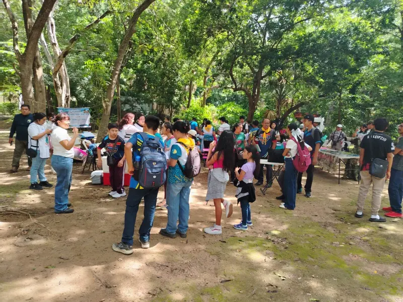 Lanza Quintana Roo estrategia para proteger aves y promover educación ambiental