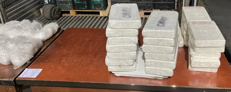 Aseguran 600 kilos ‘Cristal’