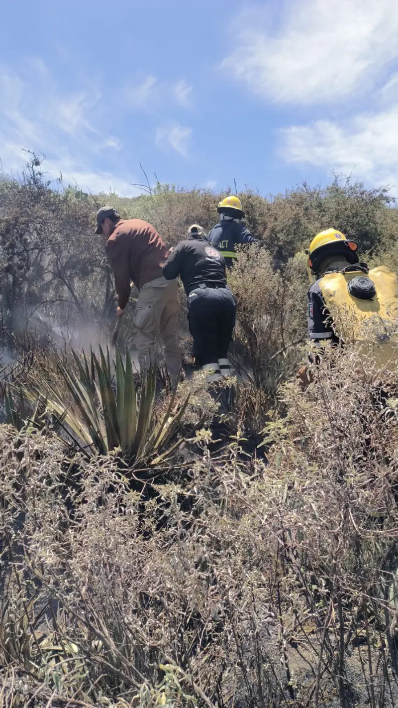 Mineral de la Reforma: sofocan incendio en el cerro del Zopilote