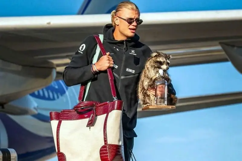 Aterriza Haaland en Oslo tras el Mundial ¡con un mapache!