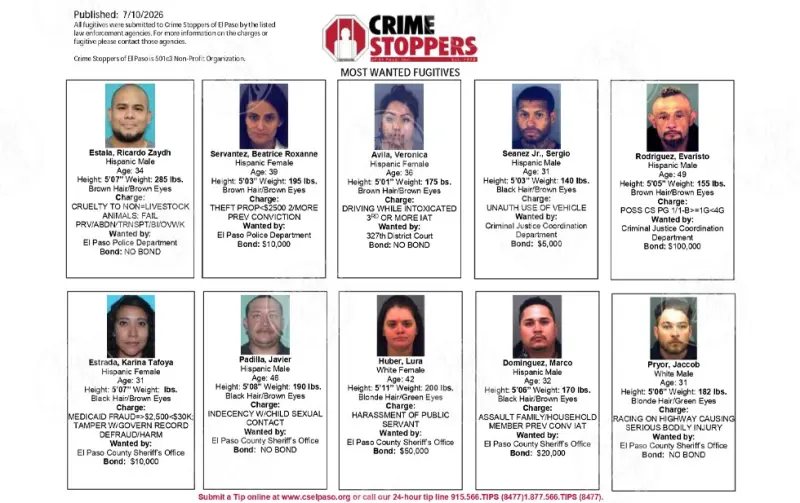 Son los más buscados de esta semana