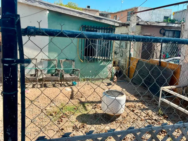 Rescatan a cuatro perros con signos de maltrato durante cateo en Campestre Murúa