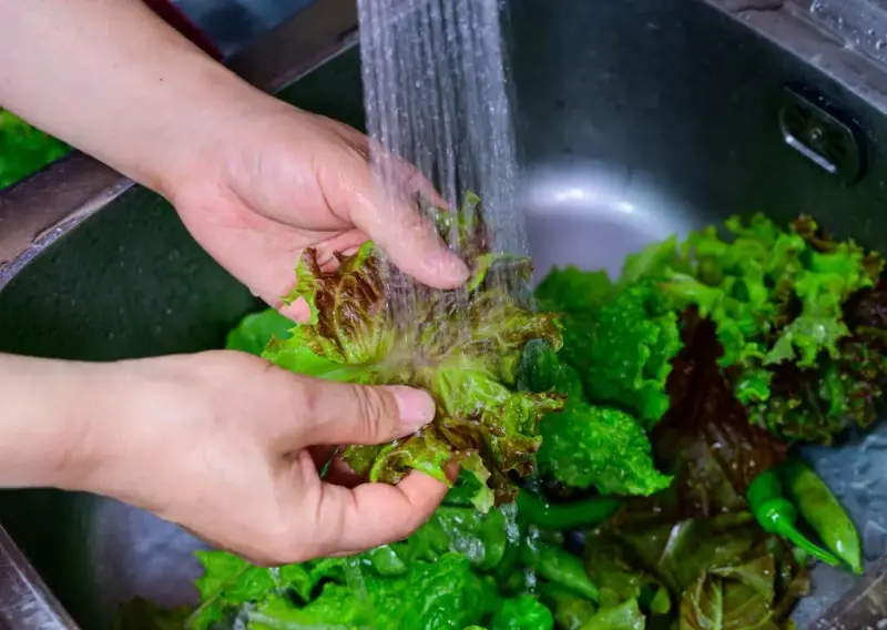 Las infecciones por ‘Cyclospora’ aumentan rápidamente. Su origen sigue sin definirse