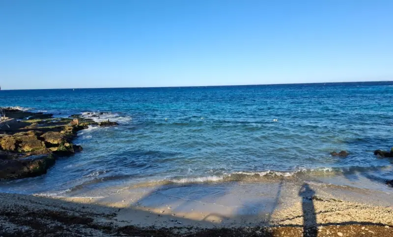 Recolectan hasta 10 toneladas diarias de sargazo en Cozumel