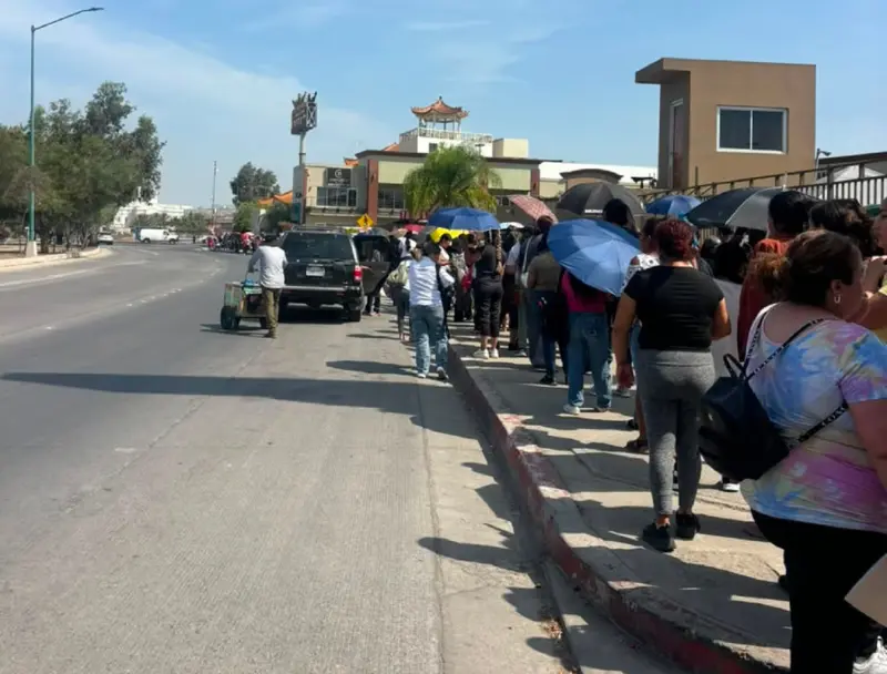 Registran largas filas para la Tarjeta Violeta en Tijuana; madres solteras esperan desde la madrugada