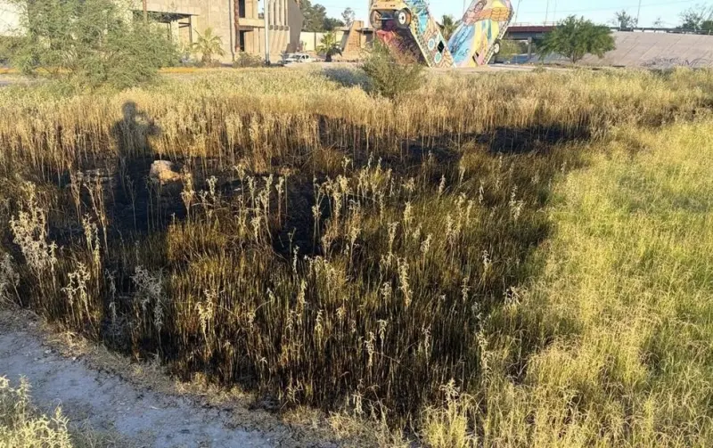 Detienen a hombre por presuntamente provocar incendio en lote baldío