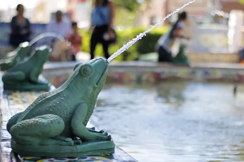 Fuente de las Ranas: Un trazo de don Miguel y don Artemio cobijado por los árboles de la Alameda Zaragoza