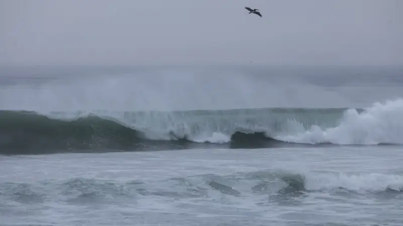 Alerta por tsunami tras sismo de 7.4 en Chiapas: Almirante Raymundo Morales pide ‘alejarse de las playas’