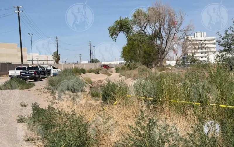 Encuentran cráneo en canal de irrigación en Juárez Porvenir