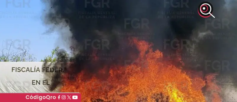 FGR incinera 77 kilos de narcóticos y 500 unidades de psicotrópicos