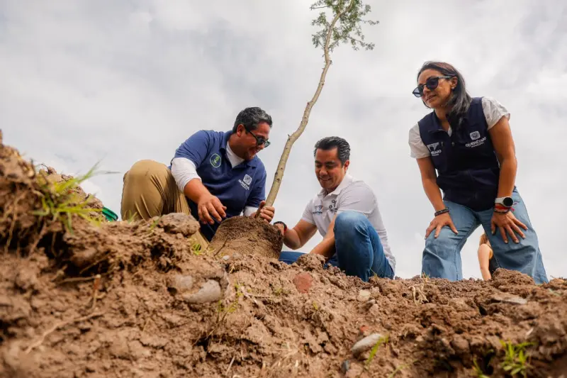 Encabeza Felifer Macías la conmemoración del Día Nacional del Árbol con la jornada “Querétaro, la Capital Verde”