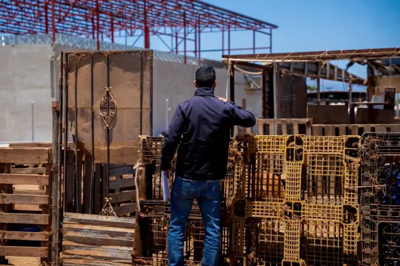 Gobierno de Ensenada inspecciona caso de pony denunciado por presunto maltrato; detectan falta de sombra y resguardo adecuado
