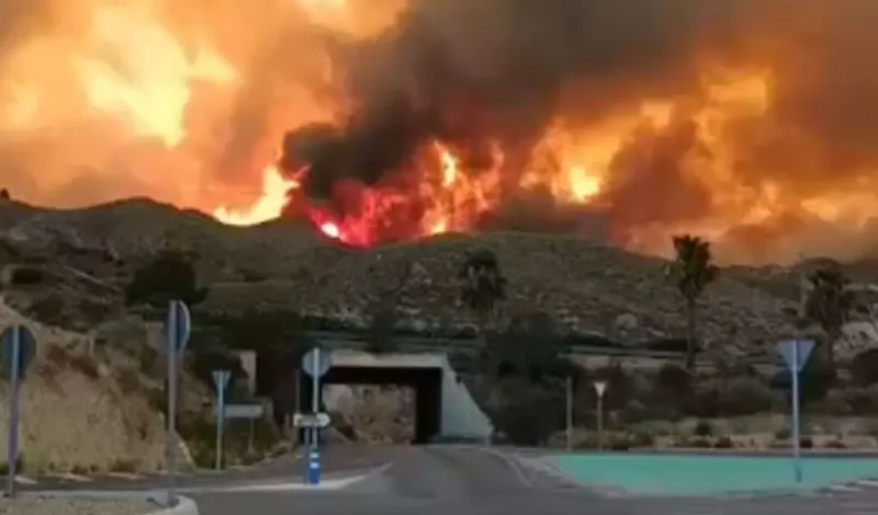 Incendios forestales: los errores que pueden costarte la vida y las claves para sobrevivir si el fuego te sorprende