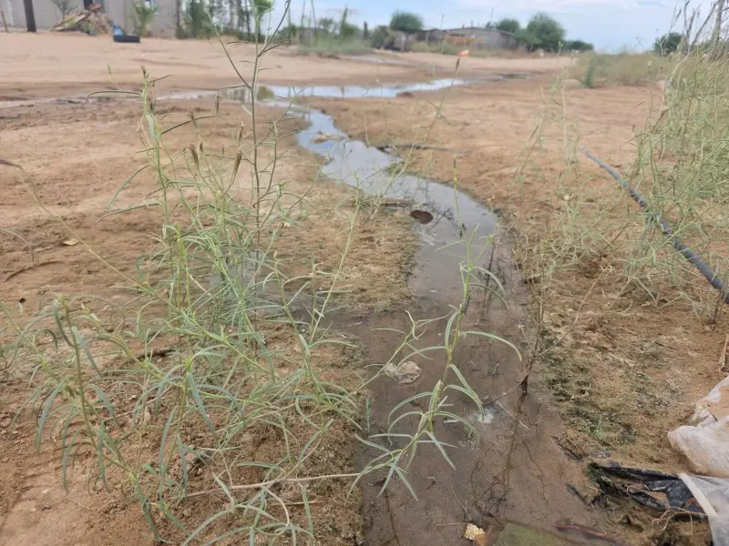 Fuga de agua por presunta toma clandestina forma una laguna al sur de SLRC