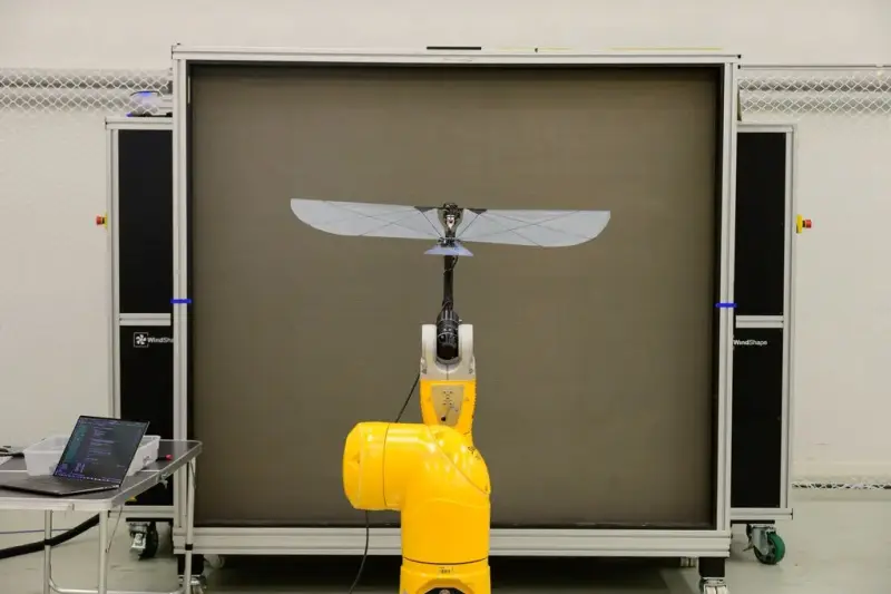 Un nuevo robot alado puede volar y nadar como un frailecillo