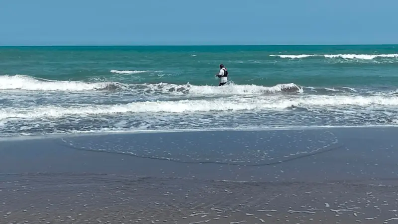 Vacaciones de Verano: Cofepris alerta sobre cinco playas con altos niveles de bacterias fecales