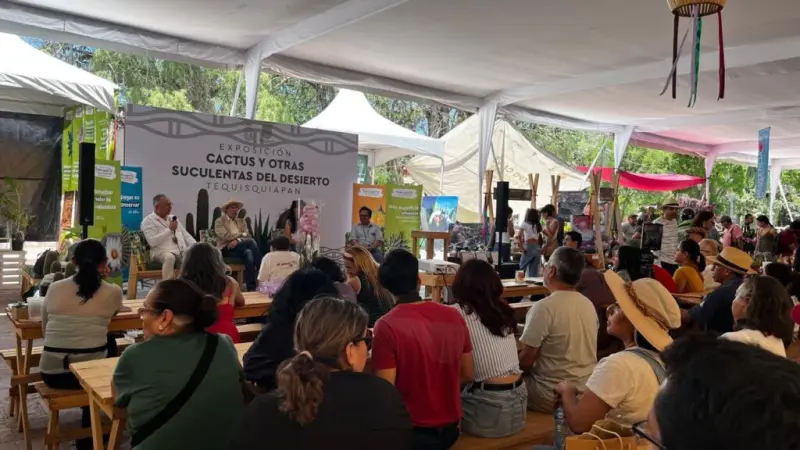Tequisquiapan alista la quinta edición de la Expo Cactus y Suculentas del Semidesierto