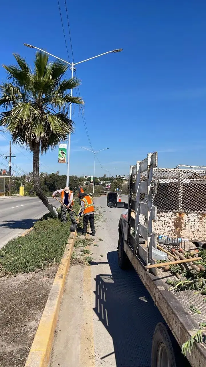 Obras Públicas de Rosarito opera con maquinaria obsoleta y falta de equipo, reconoce sindicato